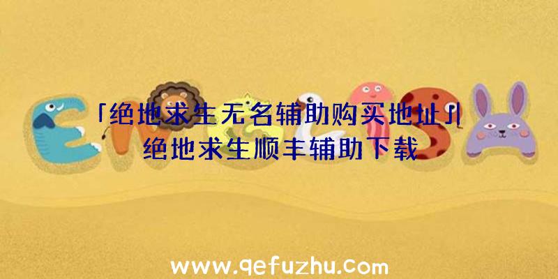 「绝地求生无名辅助购买地址」|绝地求生顺丰辅助下载